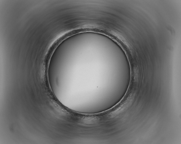 X0000111011021200906191607