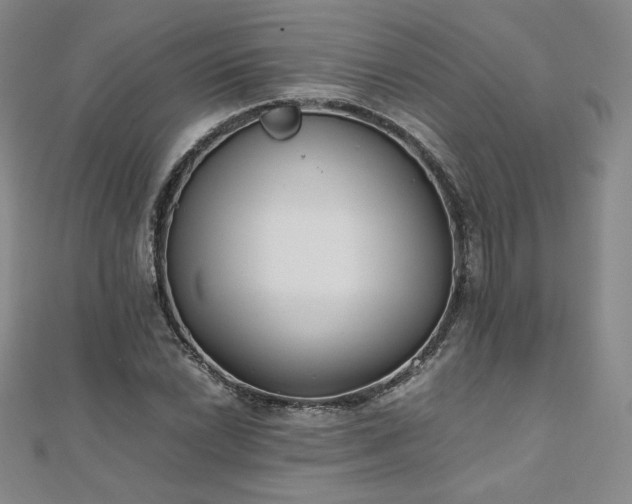 X0000111011022200906191607