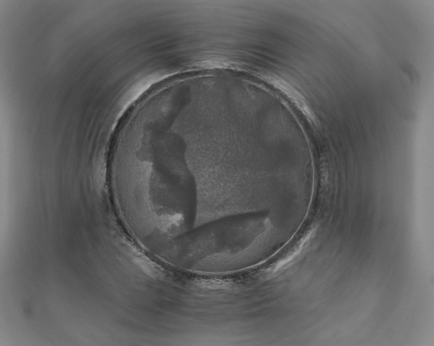 X0000111011023200906191607