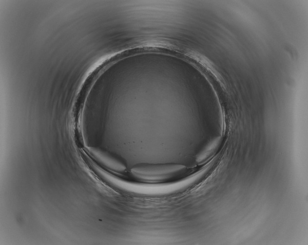 X0000111011024200906191607