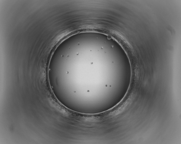 X0000111011025200906191607