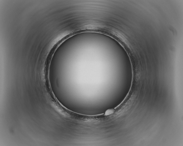 X0000111011026200906191607