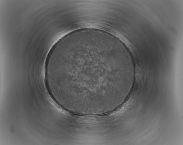 X0000111011028200906191607