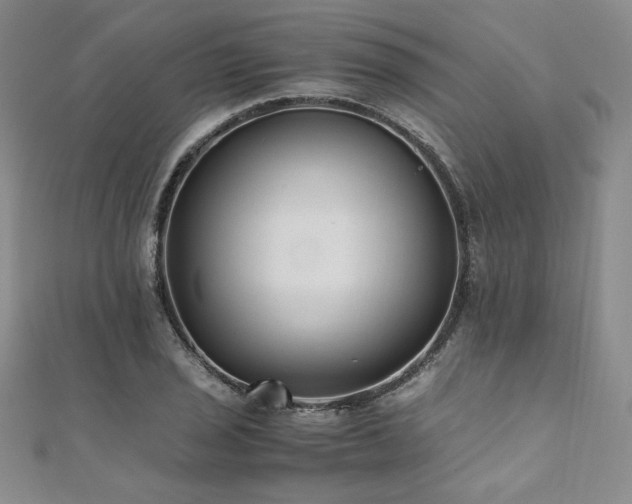 X0000111011029200906191607