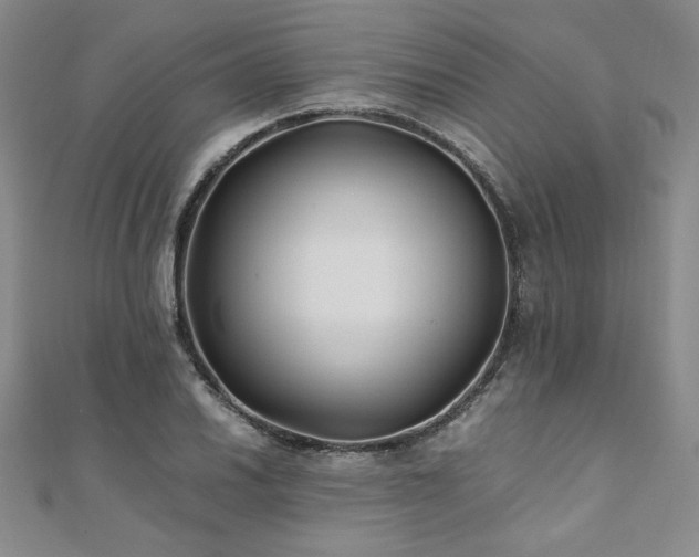 X0000111011030200906191608