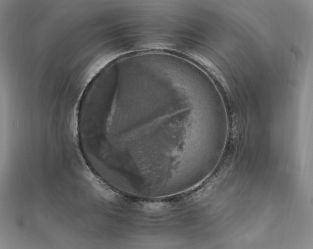 X0000111011031200906191608