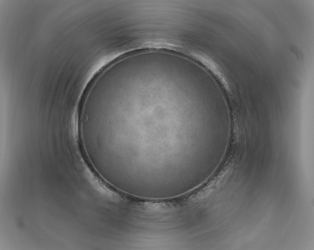 X0000111011032200906191608