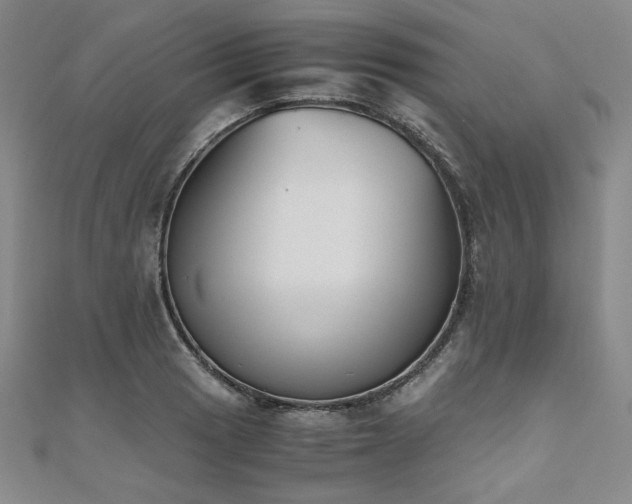 X0000111011033200906191608