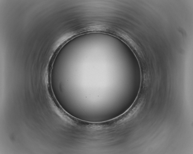 X0000111011034200906191608