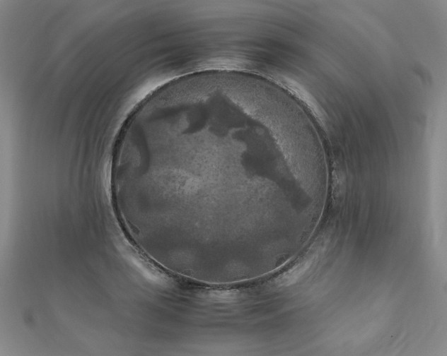 X0000111011035200906191608