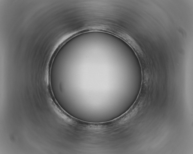 X0000111011036200906191608