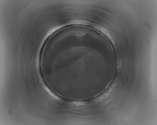 X0000111011037200906191608