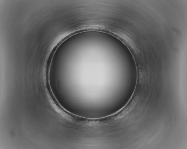 X0000111011038200906191608