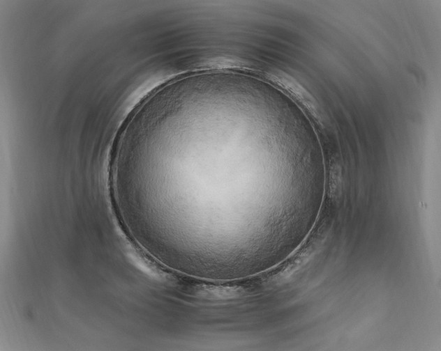 X0000111011039200906191608