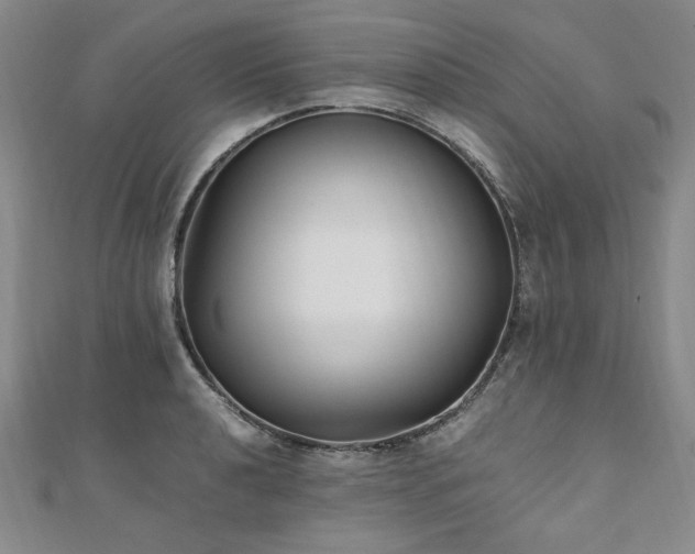 X0000111011040200906191608