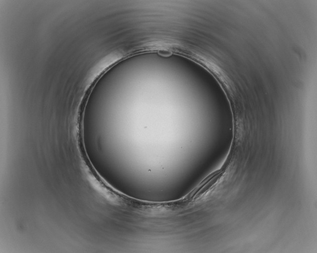 X0000111011042200906191608