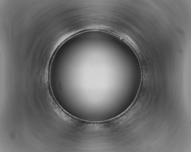 X0000111011044200906191608