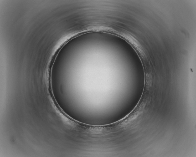 X0000111011046200906191608