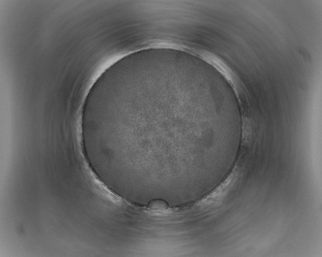 X0000111011048200906191608