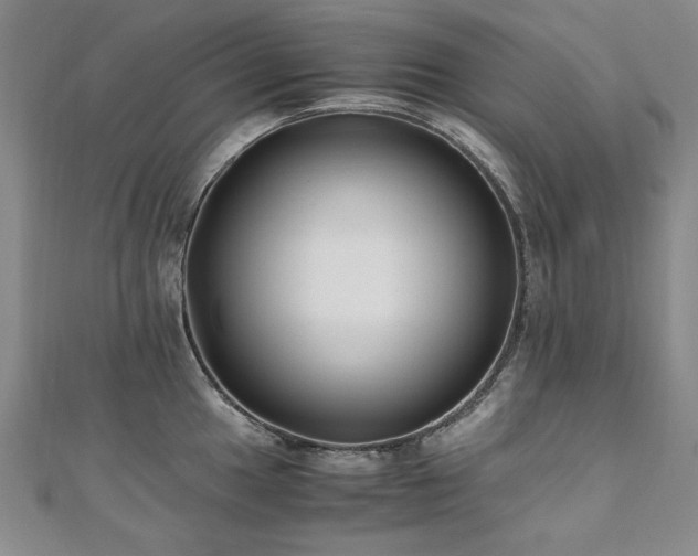 X0000111011049200906191608