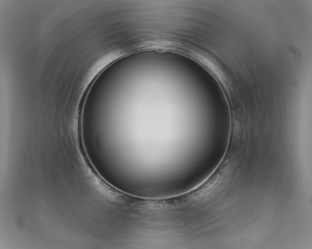 X0000111011050200906191608