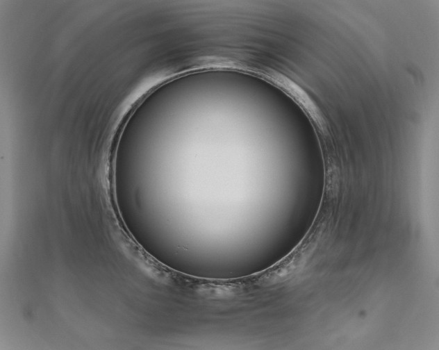 X0000111011051200906191608