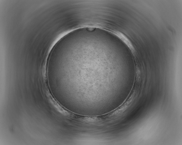 X0000111011052200906191608