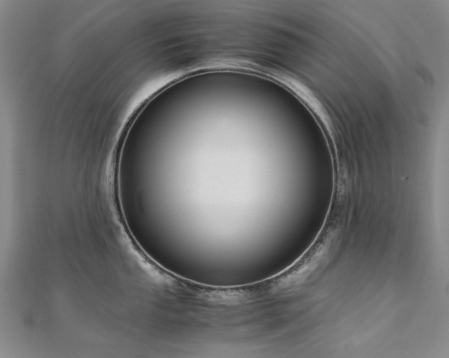 X0000111011053200906191608