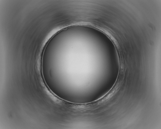 X0000111011054200906191608