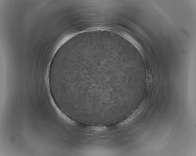 X0000111011055200906191608