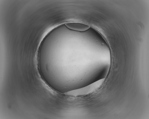 X0000111011056200906191608