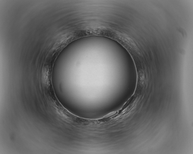X0000111011060200906191607