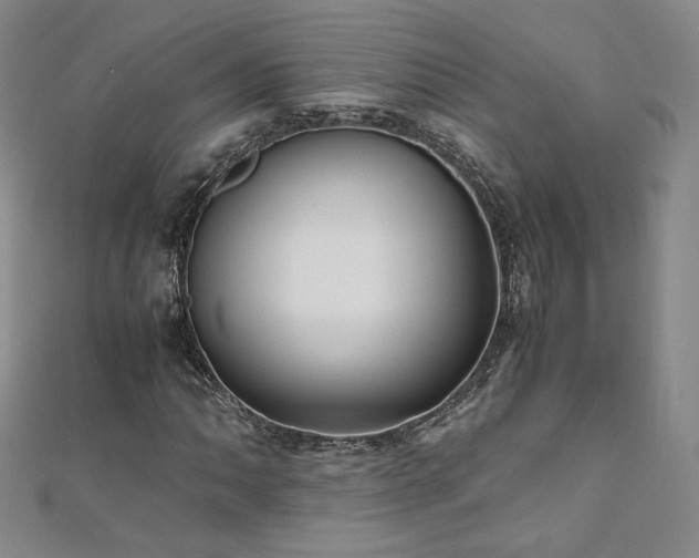 X0000111011062200906191607