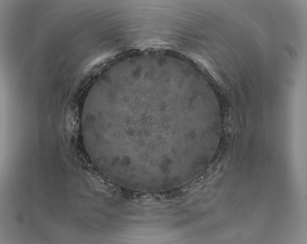 X0000111011063200906191607