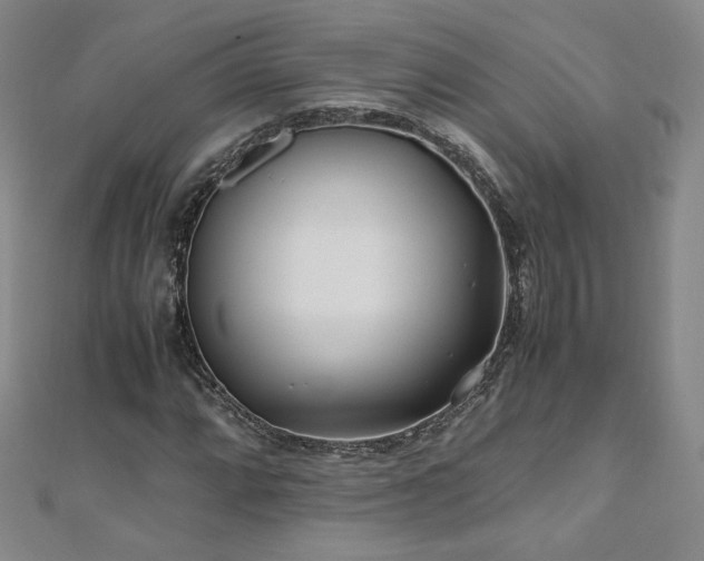X0000111011064200906191607