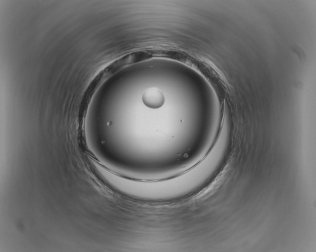 X0000111011065200906191607
