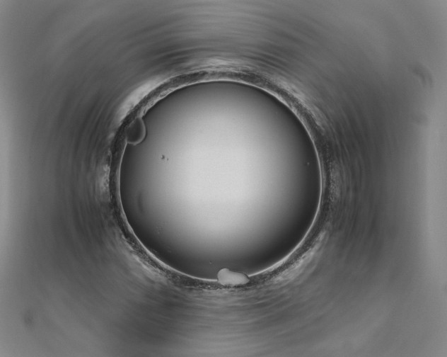 X0000111011066200906191607