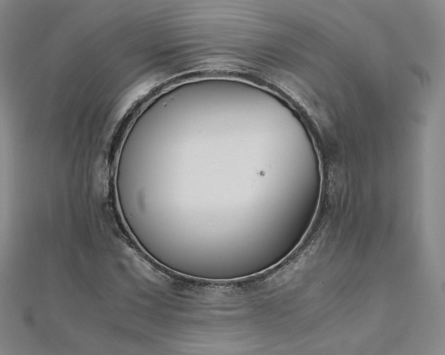 X0000111011067200906191607