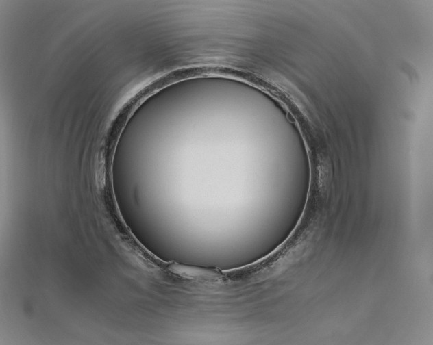 X0000111011069200906191607