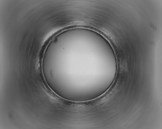 X0000111011070200906191607