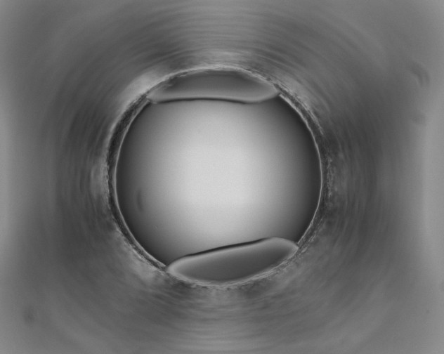 X0000111011072200906191607