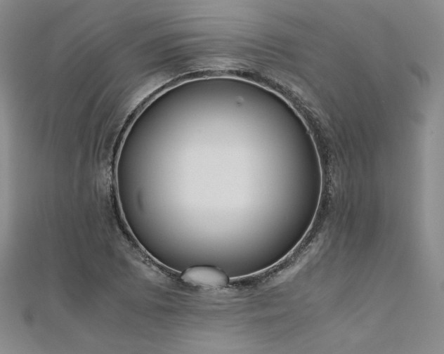 X0000111011073200906191607