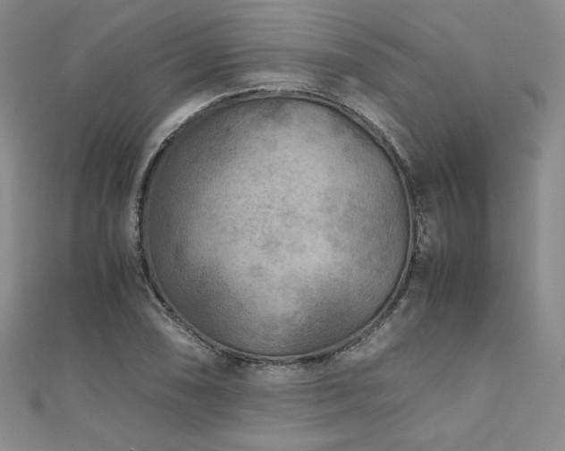 X0000111011074200906191607