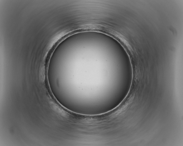 X0000111011075200906191607