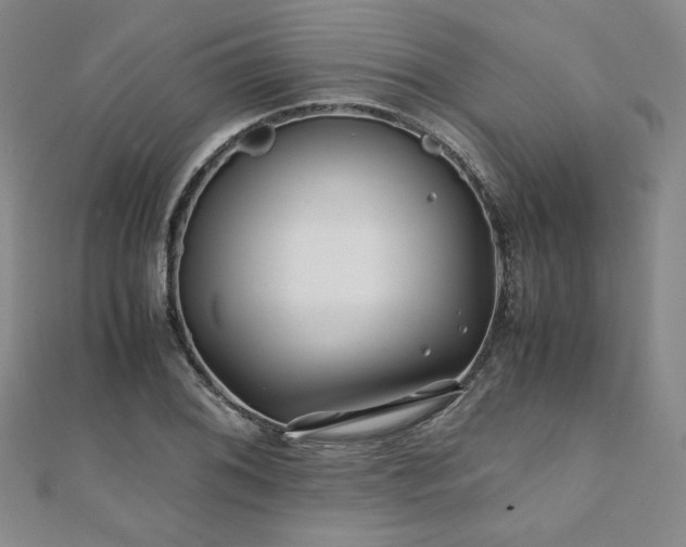 X0000111011076200906191607