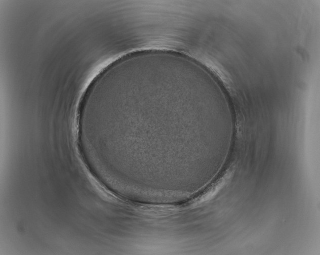 X0000111011077200906191607