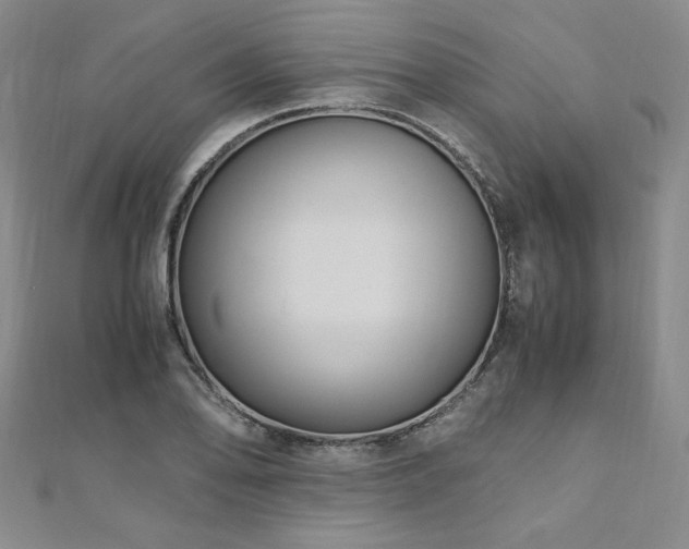 X0000111011078200906191607