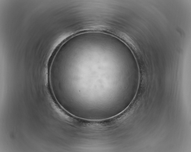 X0000111011079200906191607