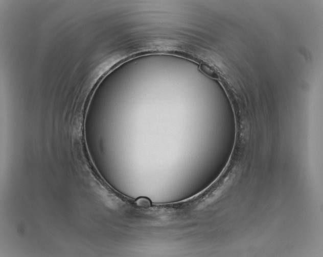 X0000111011081200906191607