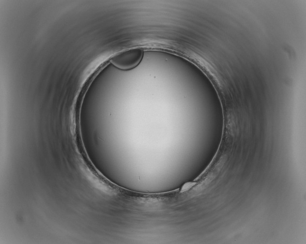 X0000111011082200906191607
